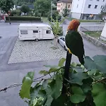 Chez Pewee, Beau Duplex En Ville, Parc Prive 아파트 *