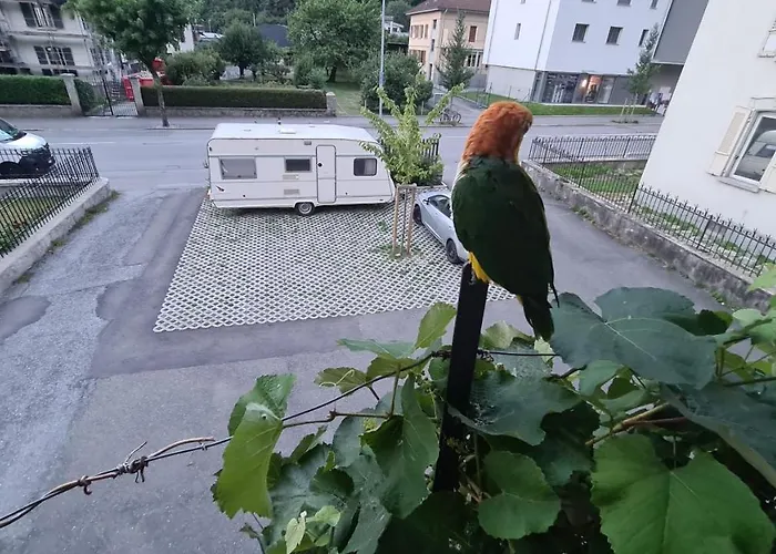 Chez Pewee, Beau Duplex En Ville, Parc Prive Apartamento *